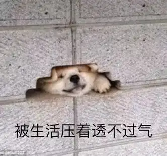 被生活遏制住了咽喉表情包 - 被生活遏制住了咽喉微信表情包 - 被生活