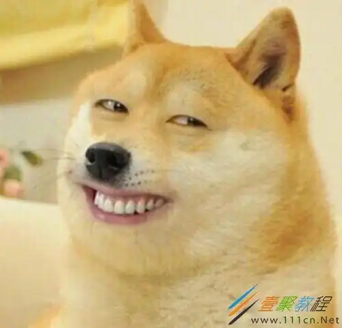 不要狗头表情什么梗|全民玩梗