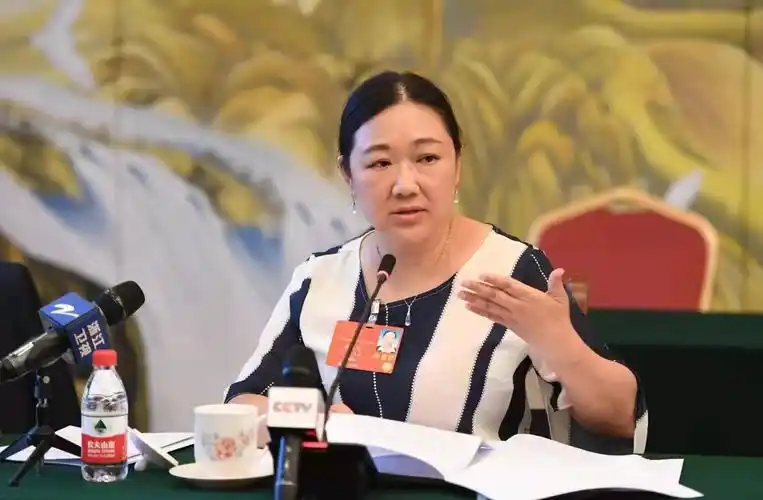 全国人大代表蒋胜男警惕延长女性产假可能带来的就业歧视