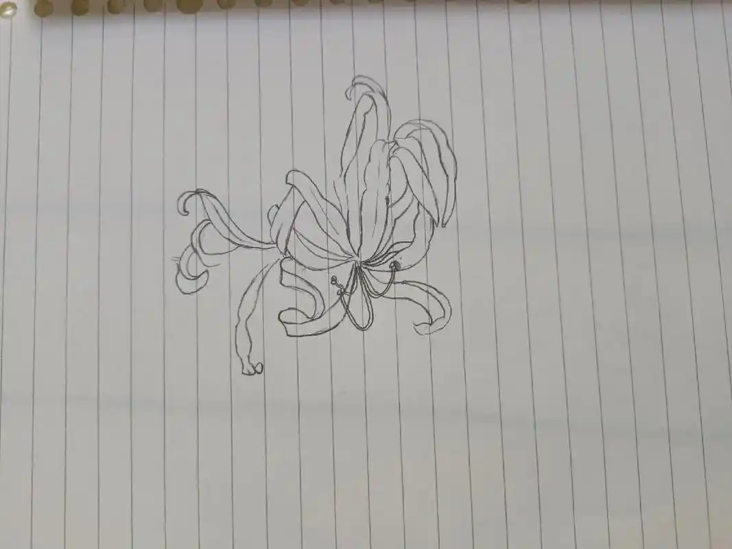 彼岸花 #铅笔手绘 - 抖音