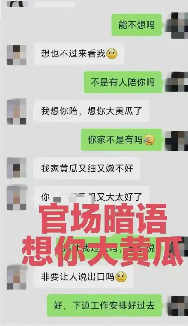 女下属出轨领导被丈夫举报,聊天记录曝光,露骨内容引发社会关注