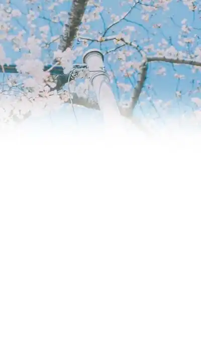 qq资料卡片背景