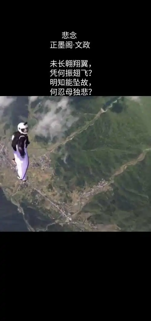 由翼装飞行女大学生刘安亡故引发的对生命的思考