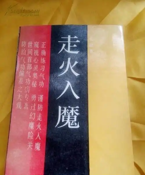 我想我已经彻底走火入魔了!