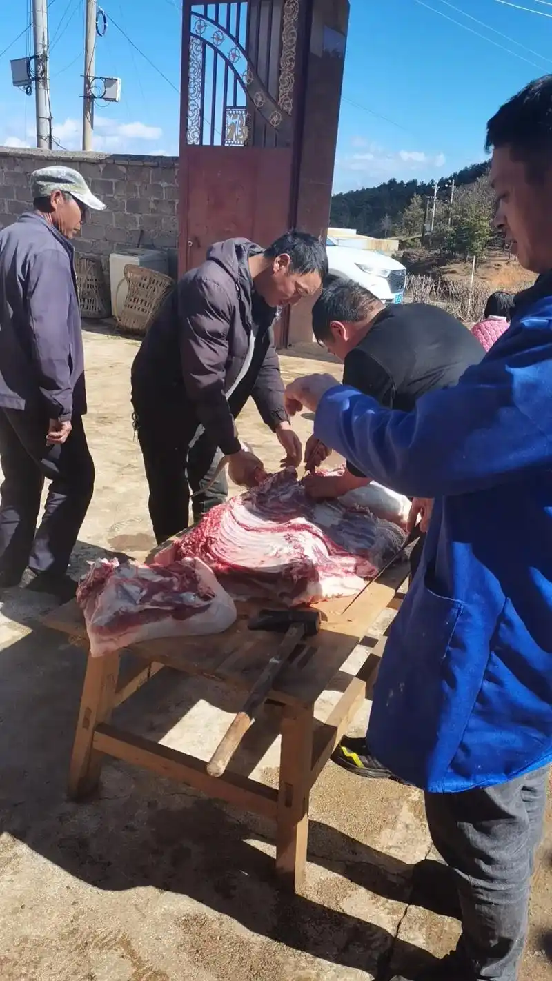 快过年了,杀年猪了.杀年猪过的是年味,谈的是情谊,叙的是 - 抖音