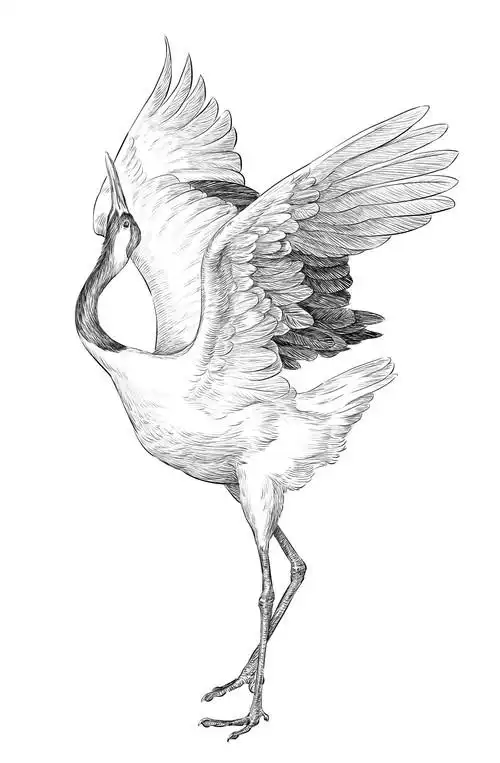 仙鹤 手绘板画的-半毫米