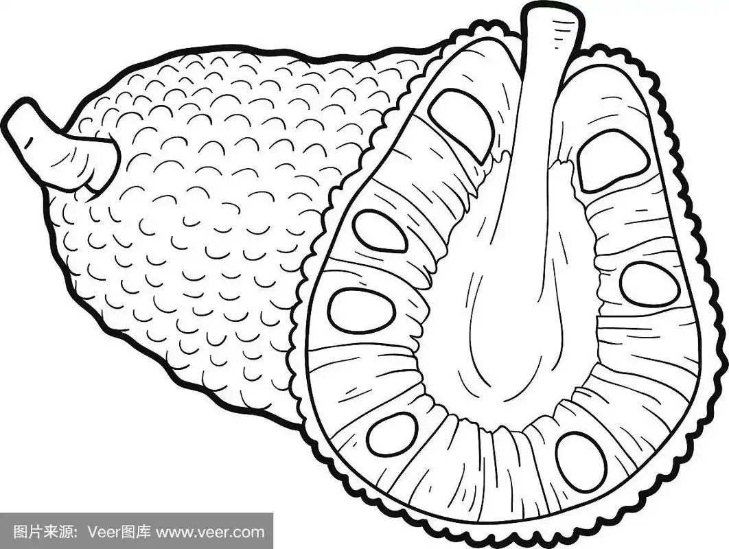 儿童涂色书:水果和蔬菜(菠萝蜜)