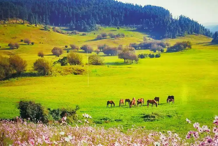仙女山芙蓉洞一日游