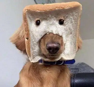 单身狗子头像沙雕 - 搜狗图片搜索