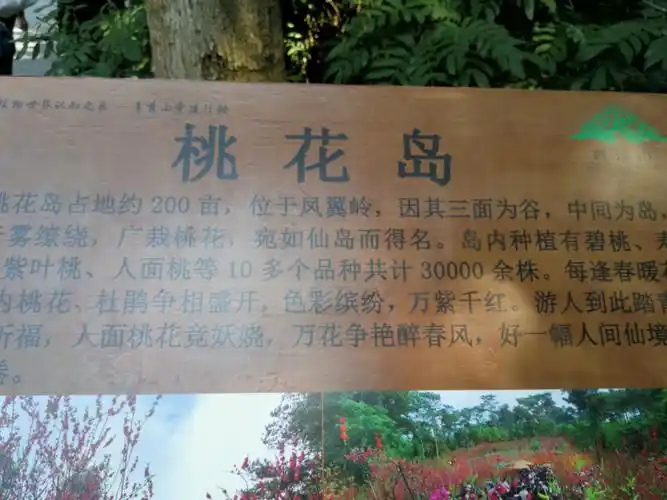 广西南宁5a级青秀山桃花岛,拍射雕英雄转基地2021年2月12日