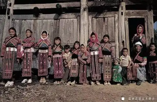 五彩斑斓的隆林花苗服饰隆林信息网