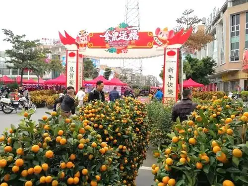 倒计时三天2020年番禺迎春花市等你来