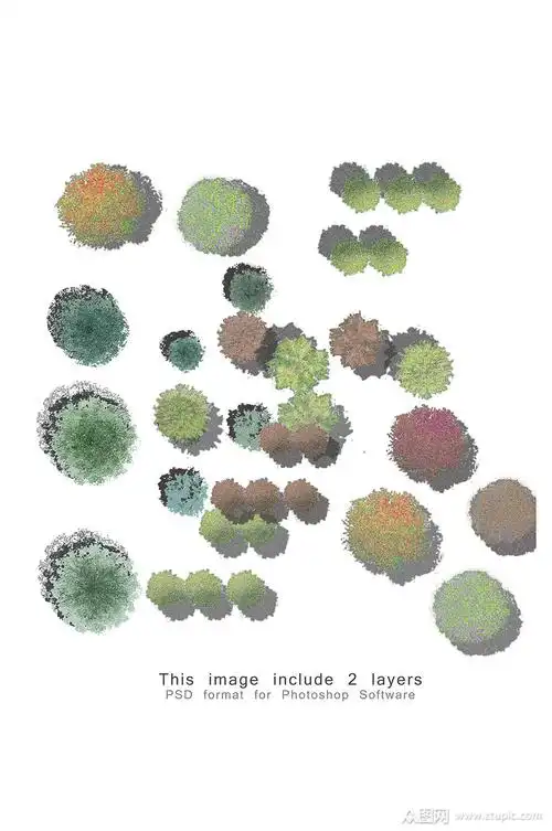 园林植物贴图素材素材