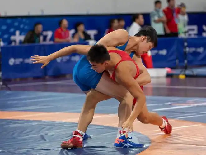 省运会国际式摔跤比赛首日金牌榜