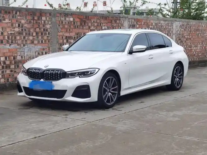 宝马 宝马3系  2020款 320li m运动套装图片