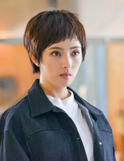 刘晓洁个人简历与主演的电视具体怎么回事