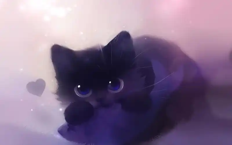 小动物可爱素材_超萌的小动物_动物壁纸