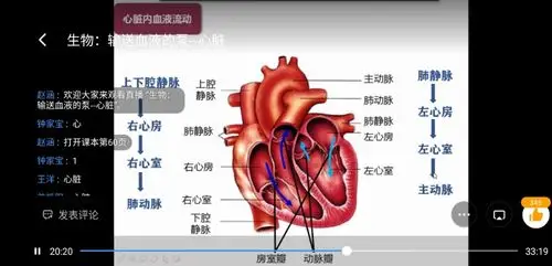七年级,赵涵老师为大家带来了心脏和血液循环这两节重点内容.