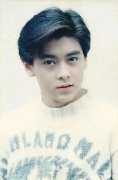林志颖帅气照片,十七岁的童年