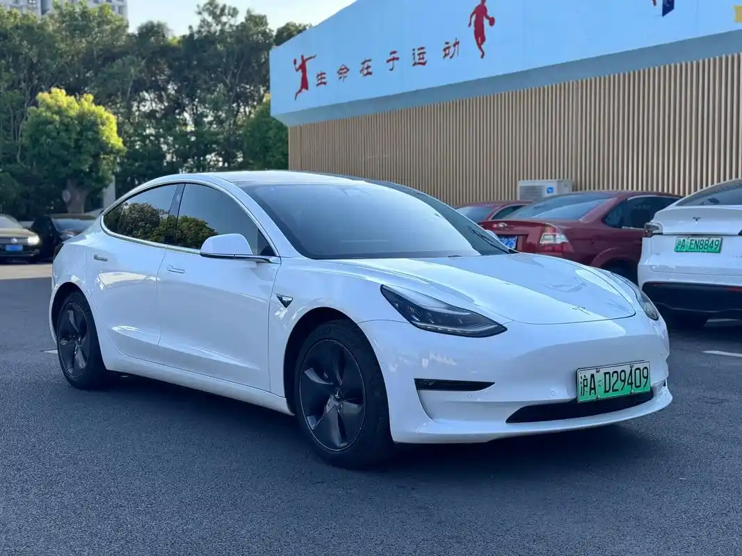 进口特斯拉model3长续航(19款)特斯拉model3长续