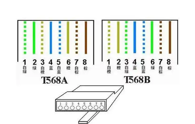 网线连接器对接头接法图解(网络线头接线方法讲解) | 滔搏网