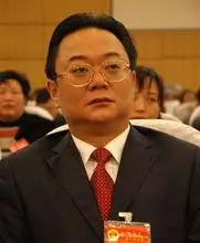 12—1995.09  成都市青白江区城厢镇党委书记