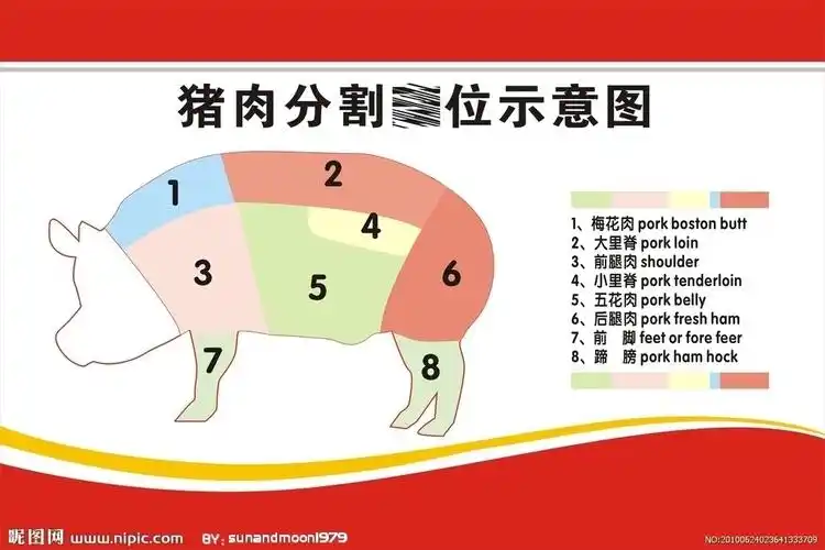 猪肉分割图示图片