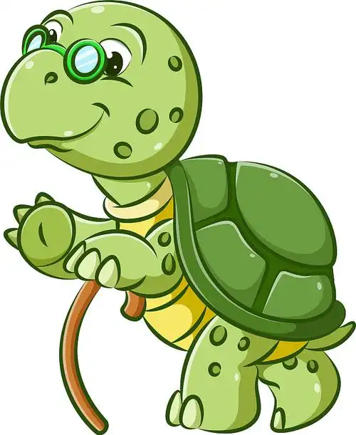 乌龟卡通