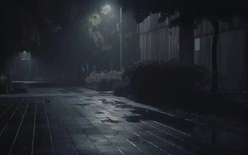 夜晚响起老公园的声音——立即克服失眠丨白噪音丨治愈丨助眠丨下雨丨