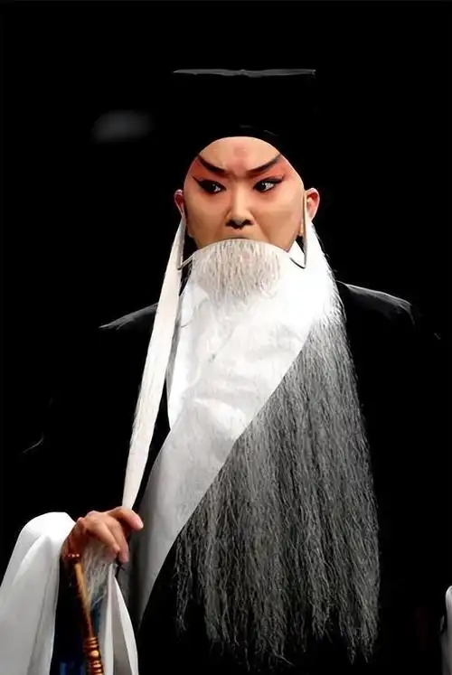 纪实王珮瑜:事业巅峰时创业失败,丈夫不是胡文阁