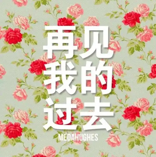 平凡的世界(三)再见不见