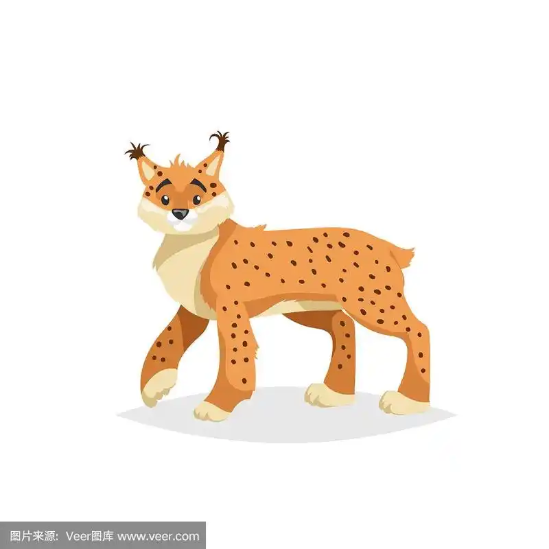 可爱的猞猁.卡通漫画风格的矢量插画森林野生动物.山猫.