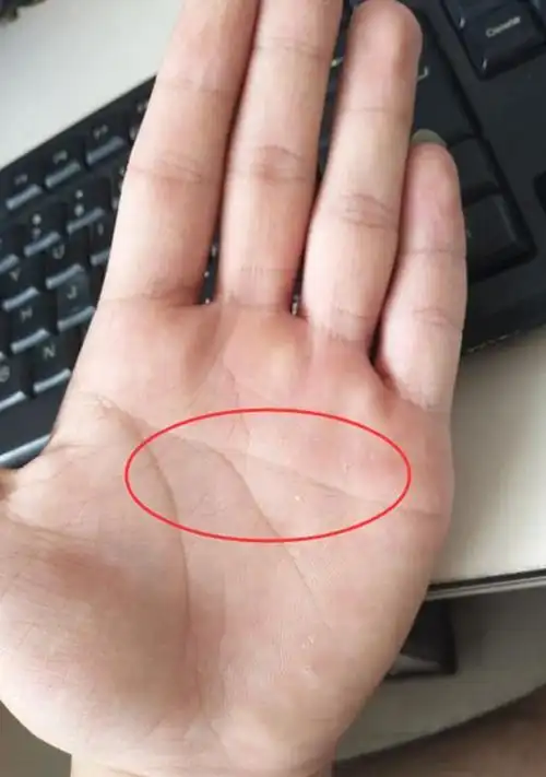 女人手掌这地方越大婚后生活越幸福