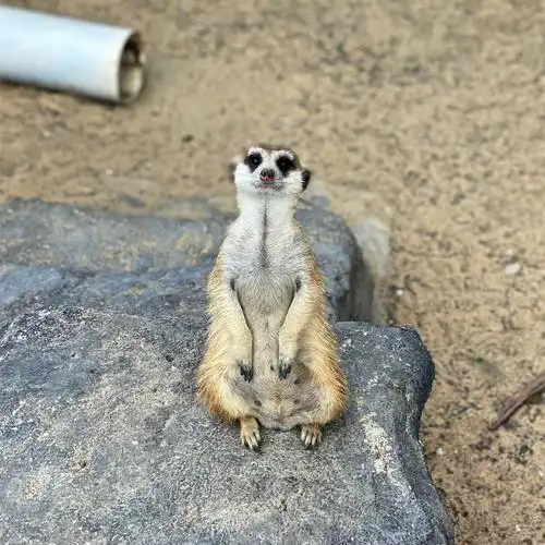 成都拾野自然博物馆