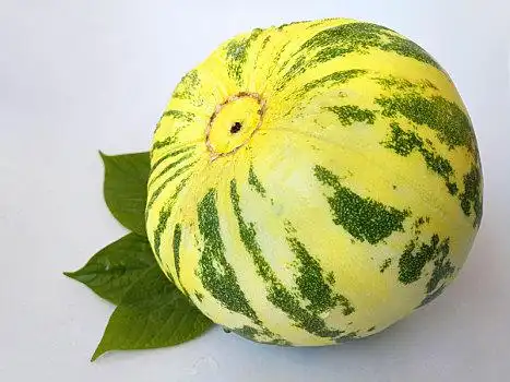 甜瓜,花皮菜瓜,西甜瓜