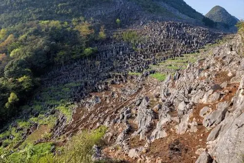 广西石漠化地区生态型土地整治,建议生态农业的生产!_手机搜狐网