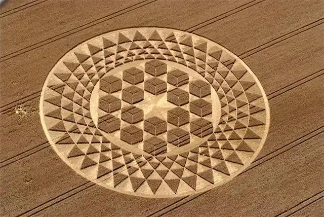 麦田怪圈真相,真实的麦田怪圈(究竟是人为还是外星人的杰作)