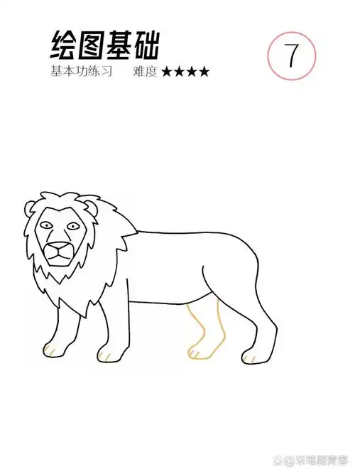 一步一步画一只狮子        绘图基础