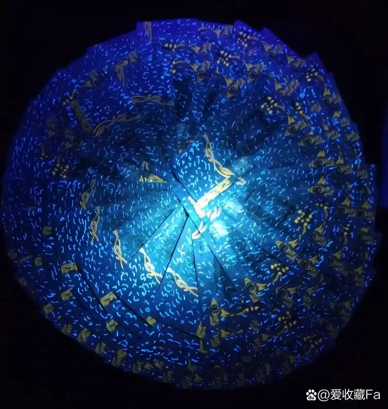 超级热门品种,稀少流水冠号,红84头荧十数字旦黄金色荧光,双面超密丝