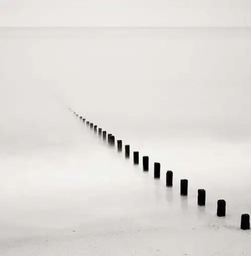 同学在朋友圈里分享了她修改后的一幅画,虽然我不懂画画,但是图画里绿