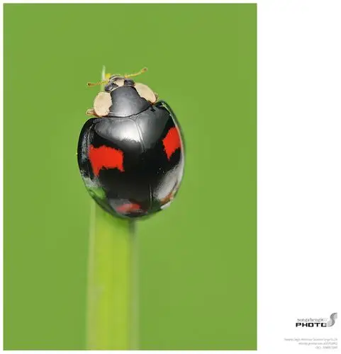 原图欣赏-太平洋摄影部落