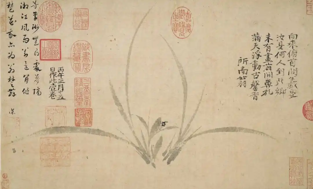 郑思肖无土之兰故国之馨