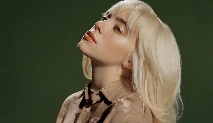 有没有碧梨(billie eillish)的超美图片?