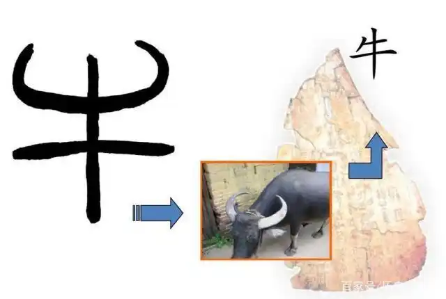 象形文字牛的写法
