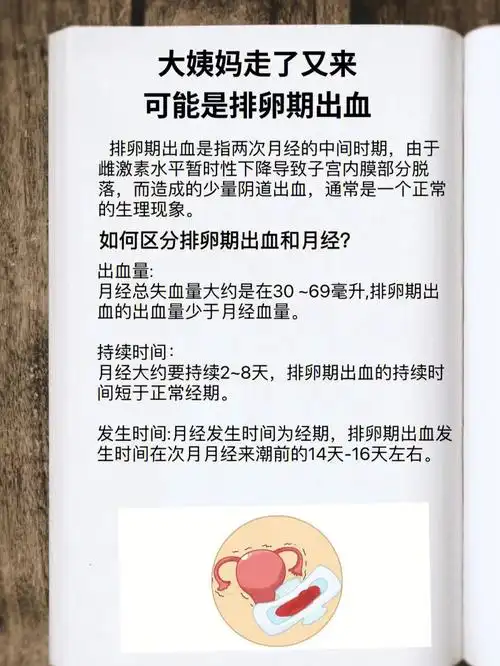 94排卵期出血是指两次月经的中间时期,由于雌激素水平暂时性下降