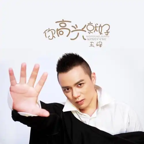 王峰_高音质在线试听_你高兴就好歌词