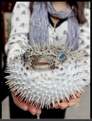 【转载】东台湾,私旅图 第六篇----垦丁