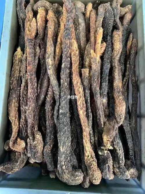 与作用和吃法简单介绍(肉苁蓉的功效与作用怎么吃法)_大全-幸福起航