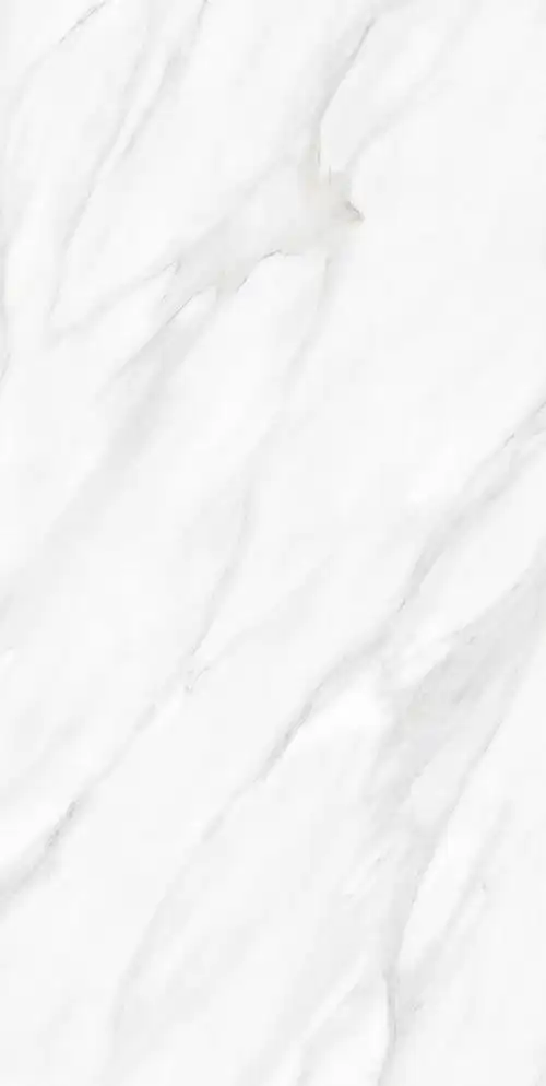 ctb12607雅士白_金豪瓷砖官方网站|全国连锁瓷砖选购品牌|广东省名牌