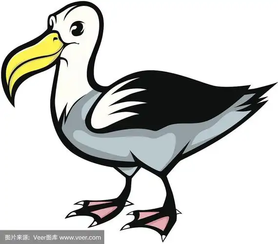 可爱的信天翁卡通插图